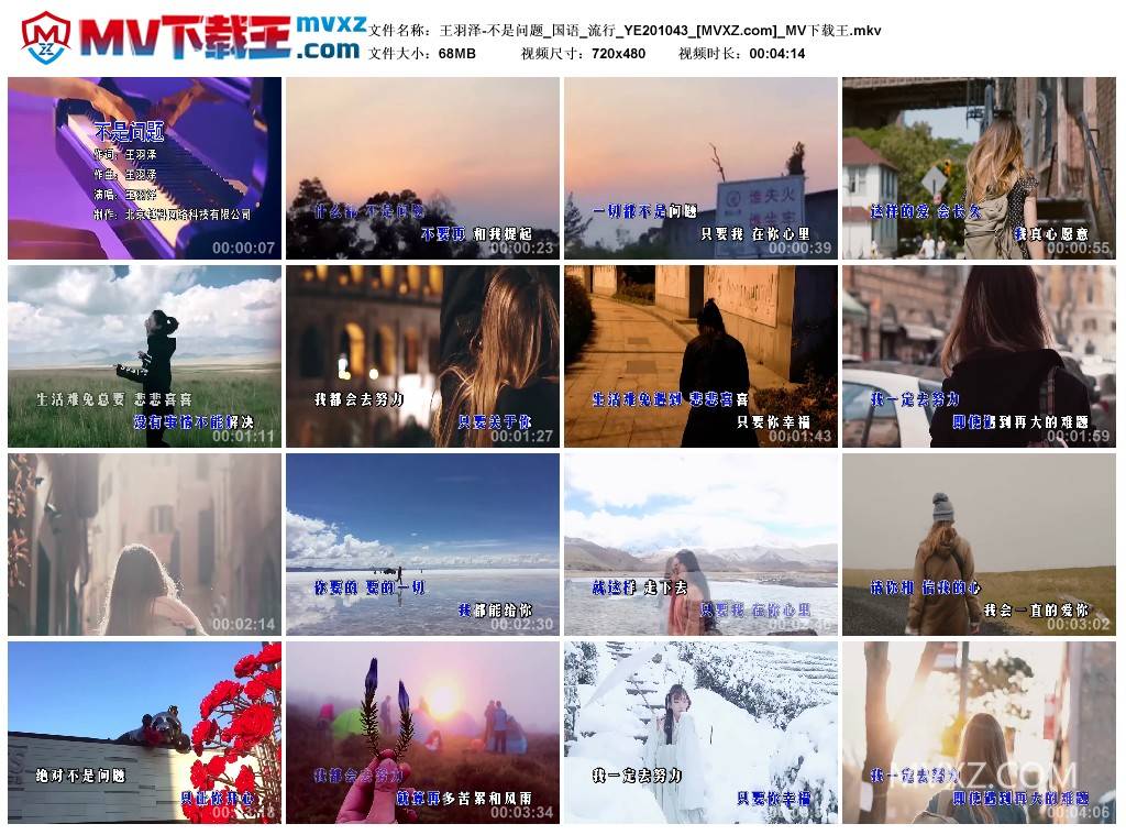 王羽泽-不是问题_国语_流行_YE201043